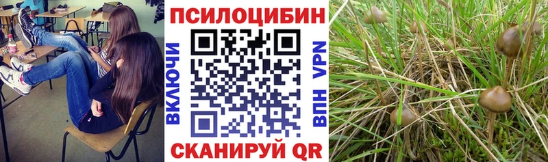 Купить закладки  Чусовой  Псилоцибиновые грибы ЛСД 