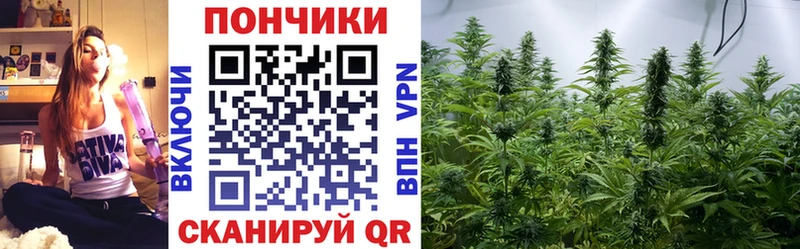 Марихуана Amnesia  Купить где  Чусовой 